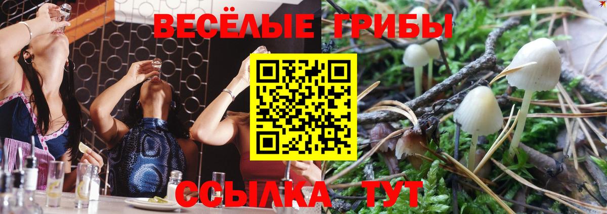 Галлюциногенные грибы мицелий Советская Гавань